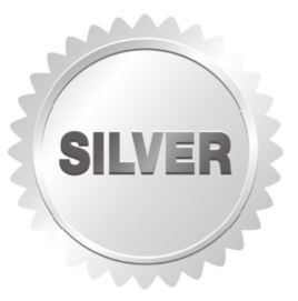 Silber-Partner(CHF 2’000.-/Monat*)