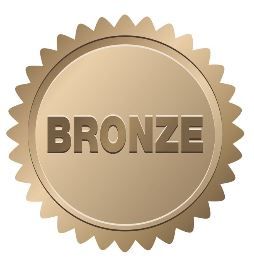 Bronze-Partner (CHF 900.-/Monat*)
